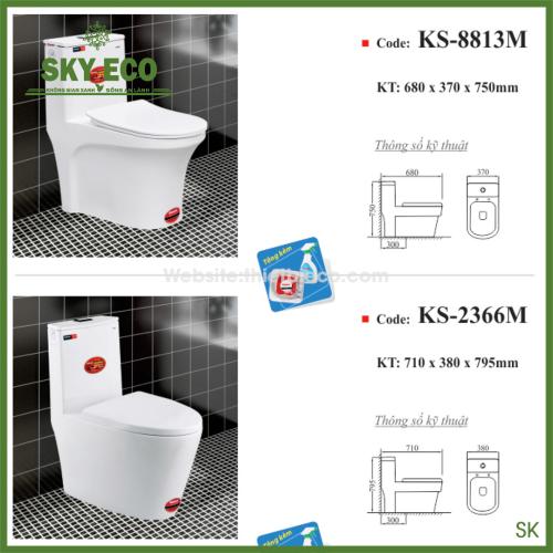 BỒN CẦU 8813M/2366M