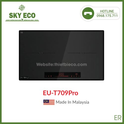 Bếp từ  EU-T709PRO