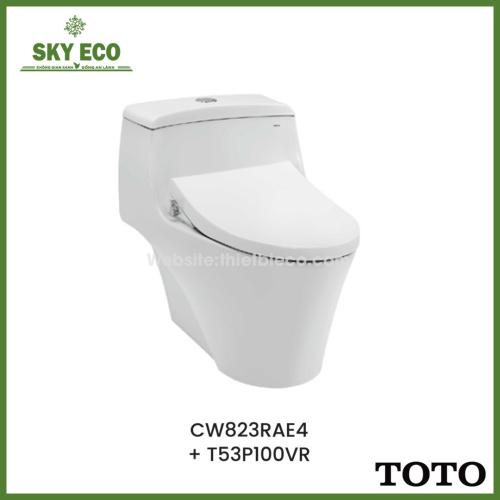  BỒN CẦU TOTO - CW823RAT8