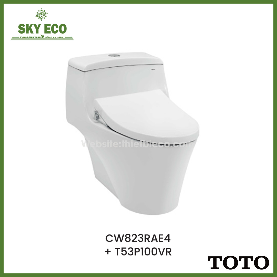 BỒN CẦU 1 KHỐI TOTO - CW823RAE4